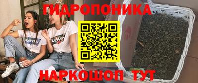 эйфоретик Коммунар
